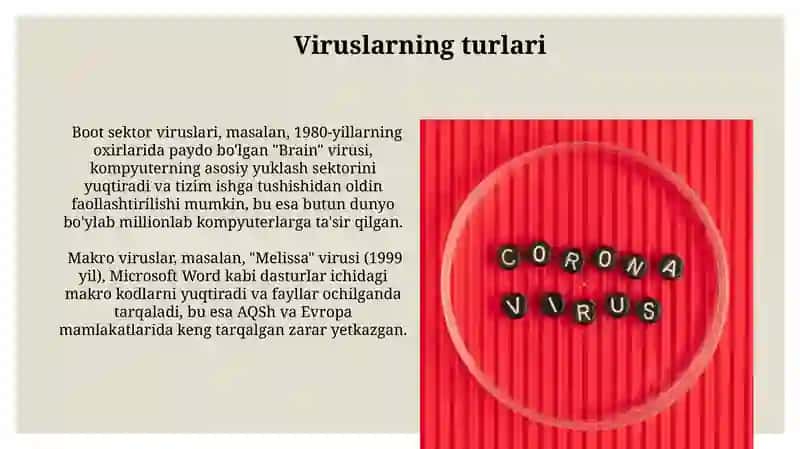 Virus dasturlari vaularningturlari 3