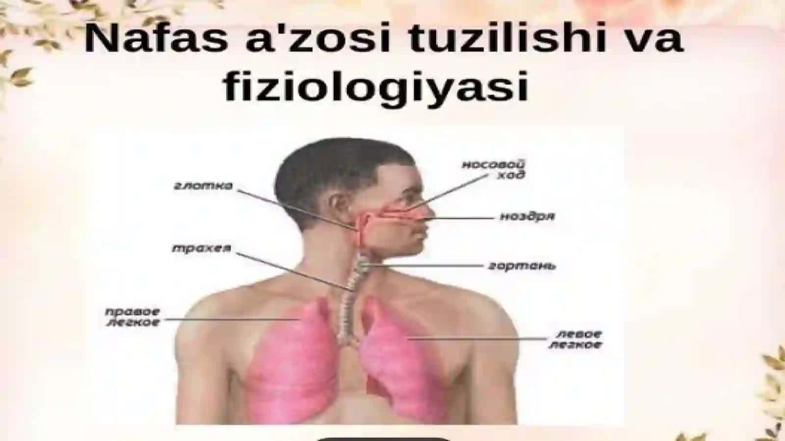 Kop Tarmoqli Tibbiyot Texnikumi Hamshiralikishiyonalishi114-guruhtalabasi 3