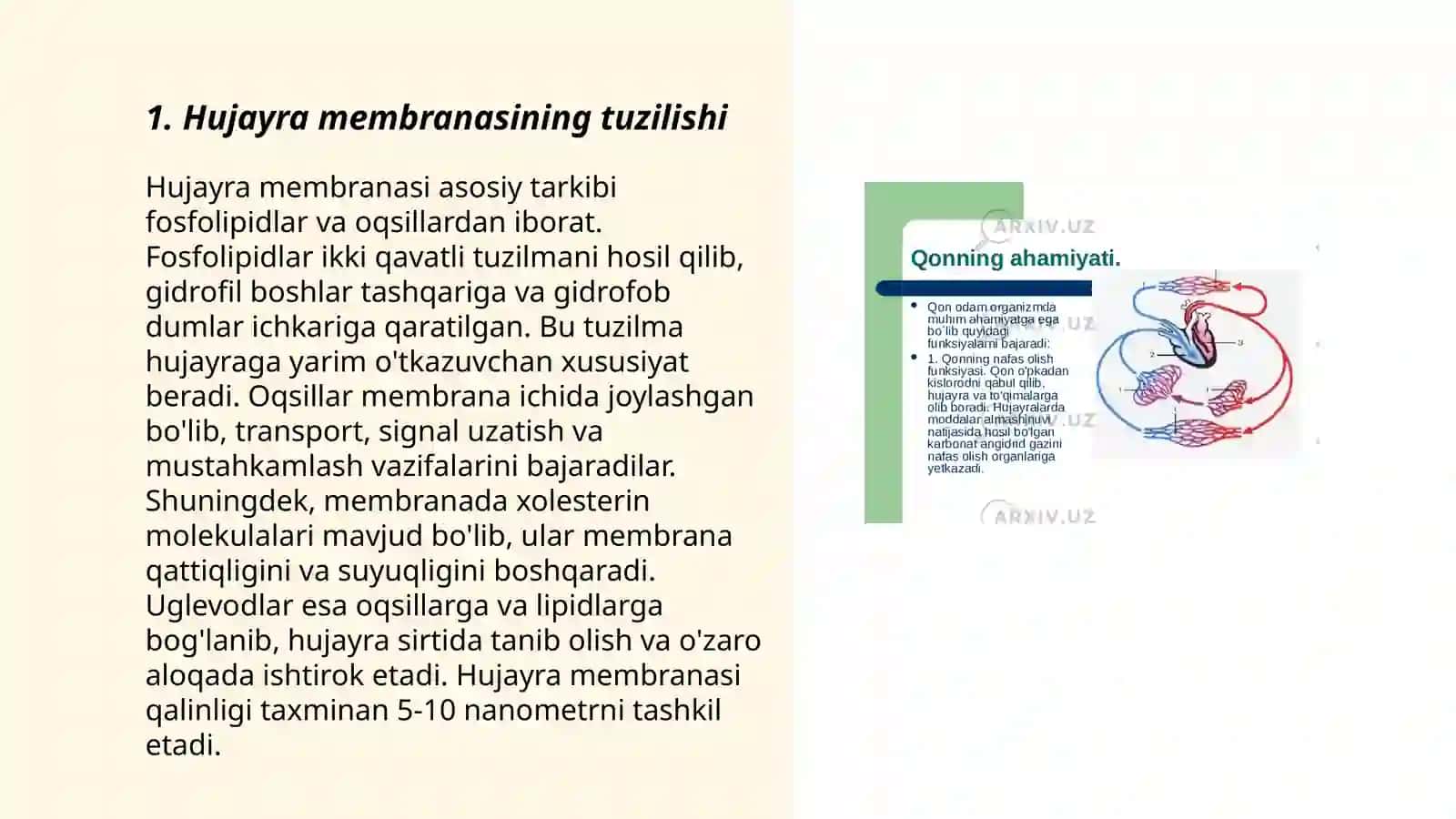 Hujayra membranasi orqali moddalarning passiv va aktiv transporti 3