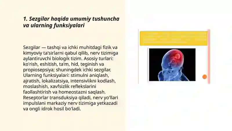 Sezgilar haqida umumiy tushuncha va uning nerv-fiziologik asoslari 3