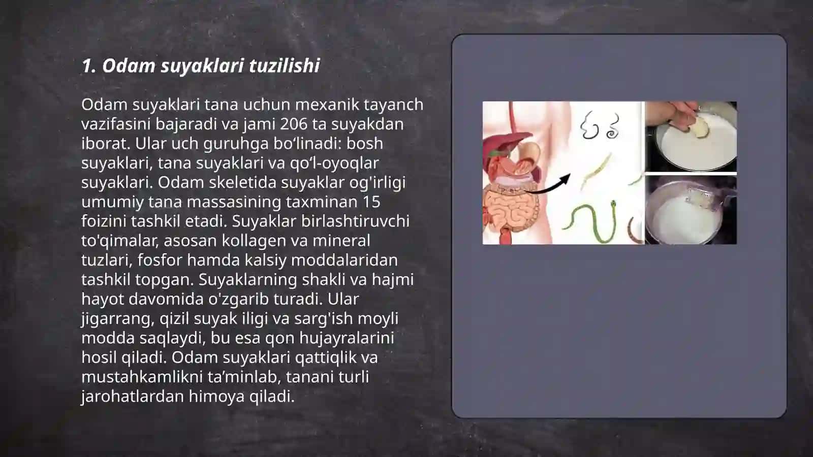 Odam suyaklarini oʻrganish 3