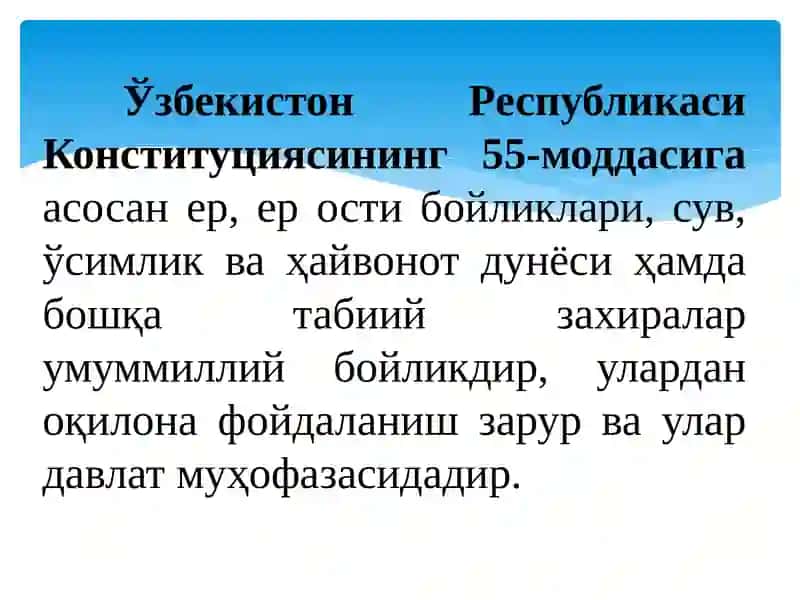 Ерга нисбатан мулк ҳуқуқининг умумий асослари 3