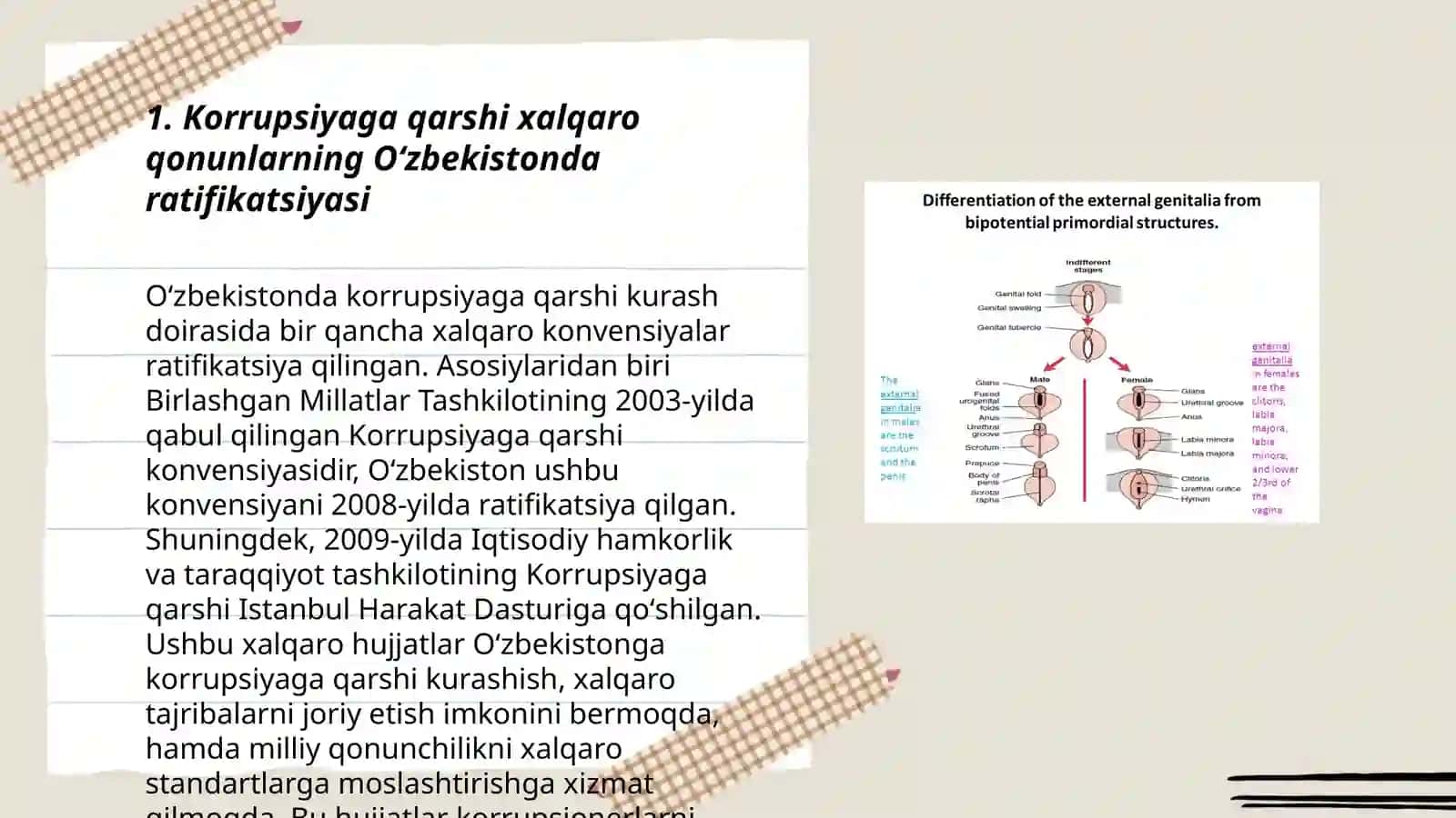 Korrupsiyaga qarshi kurash boʻyicha xalqaro qonunlar va qarorlarning Oʻzbekistonda ratifikatsiya qilishning ahamiyati iqtisodiy siyosiy va ijtimoiy siyosiy mexanizmlar 3