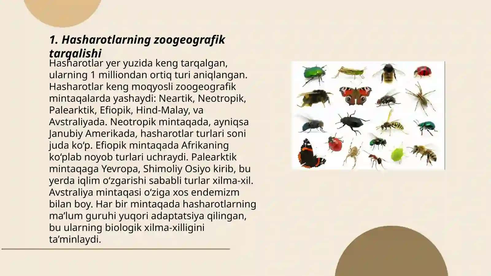 Hasharotlarning zoogeografiyasi va ularni muhofaza qilish 3