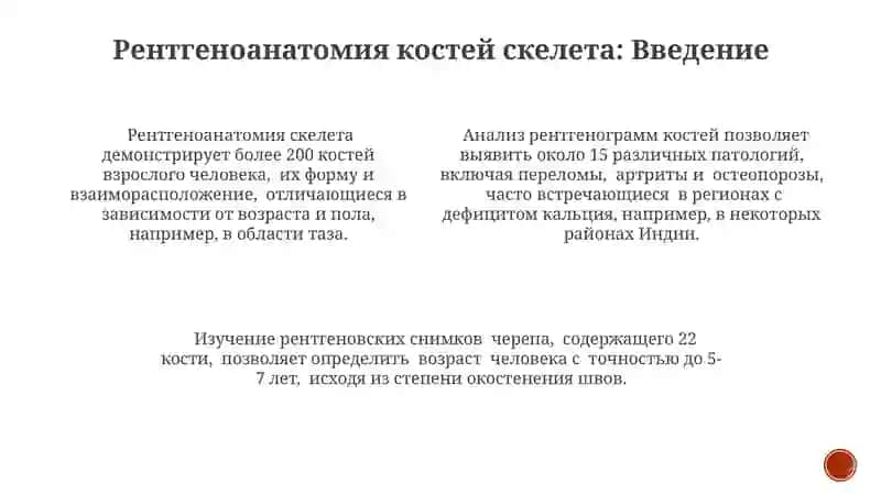 Рентгеноанатомия костей скелета 3