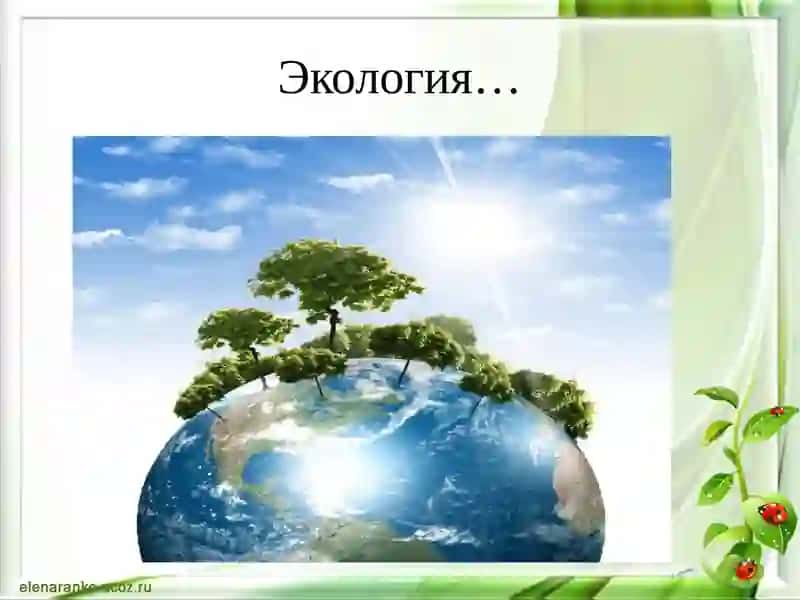 ЗДОРОВЬЕ ПЛАНЕТЫ НАША ЖИЗНЬ 3