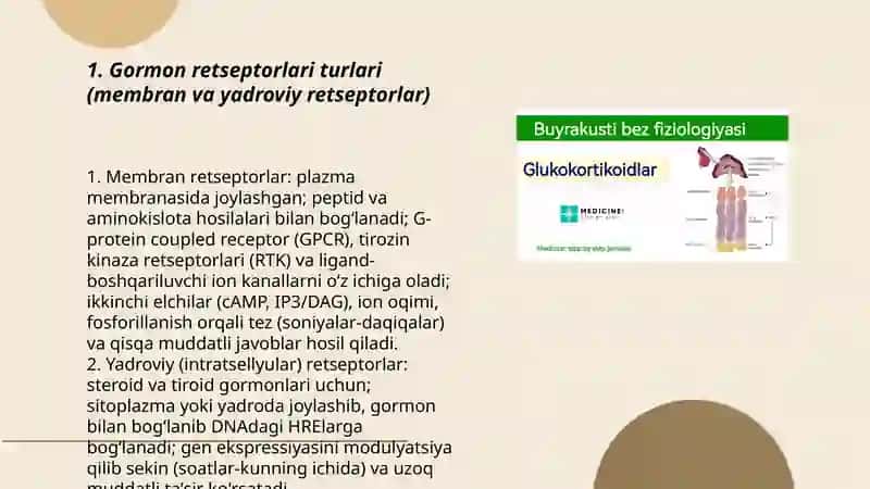Gormonlarning nishon hujayralarga ta’sir mexanizmi 3