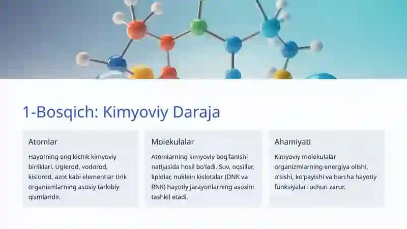 Hayotning Tashkiliy Darajalari 3