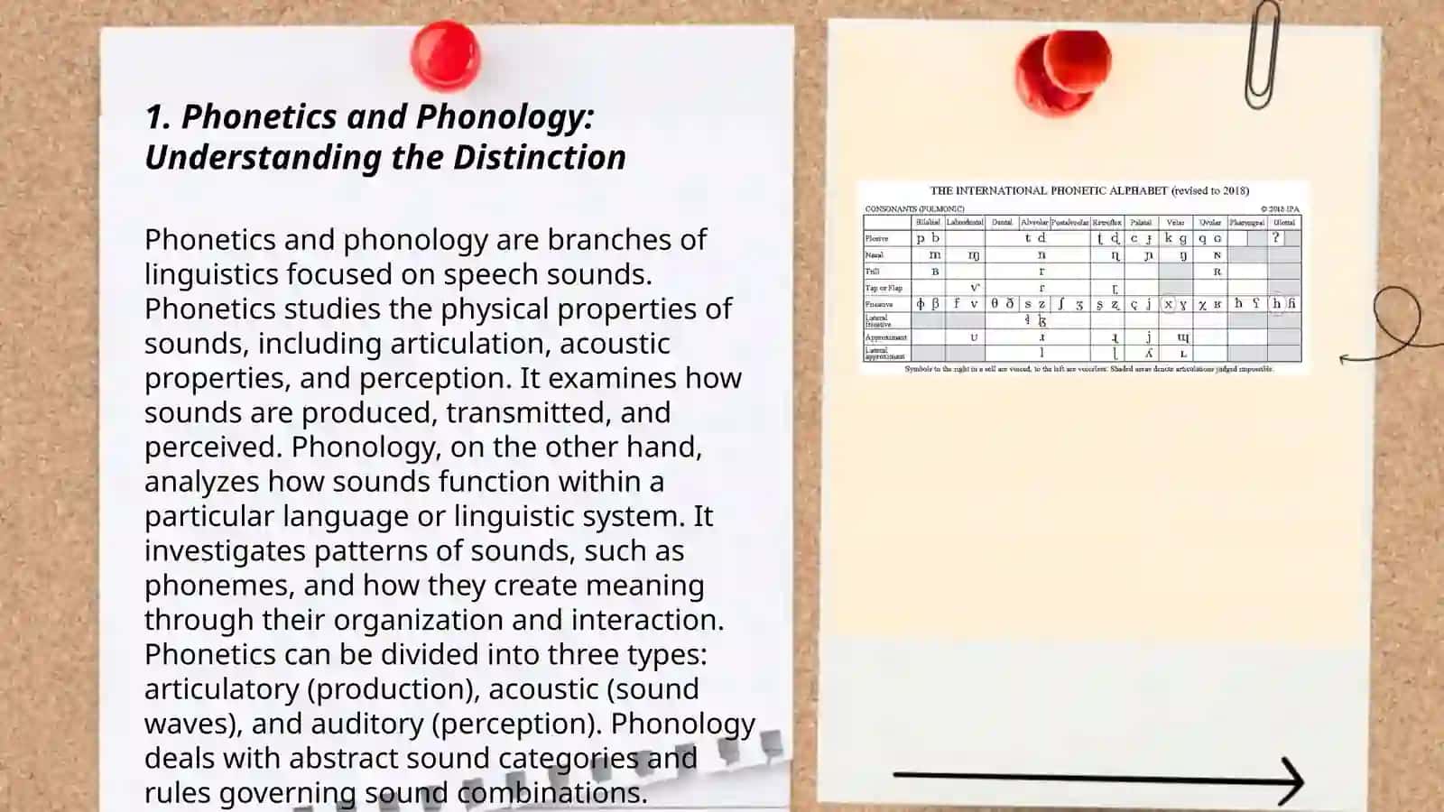 Phonetics and its Connection with other branches of linguistics 3