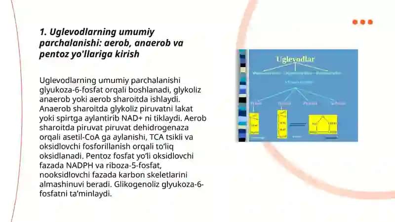 Uglevodlarning aerob, anaerob hamda pentoz yoʻli bilan parchalanishi. Glikoliz, glikogenoliz 3