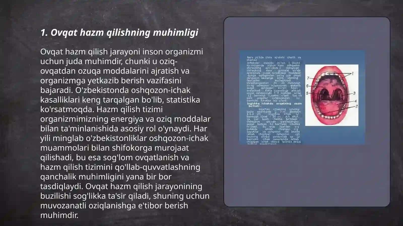 Ovqat hazm qilish sistemasi 3