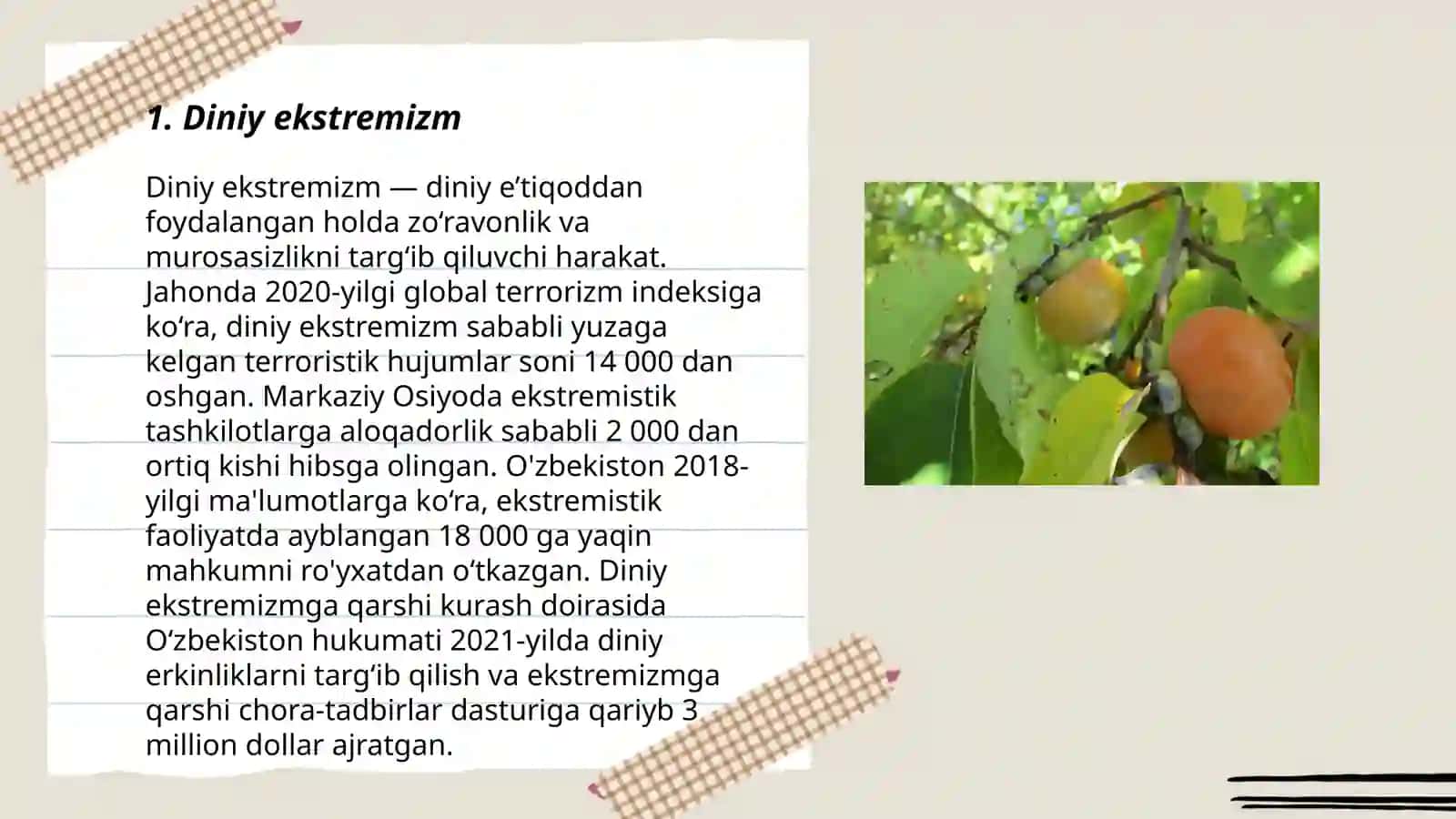 Ekstremizm koʻrinishlari va namoyon boʻlish shakllari 3