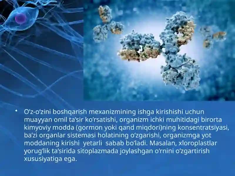Tirik organizmlar o‘z-o‘zini idora etish organlari 3