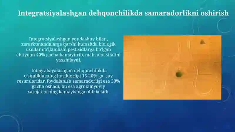 Integratsiyalashgan dehqonchilikda samaradorlikni oshirish 3