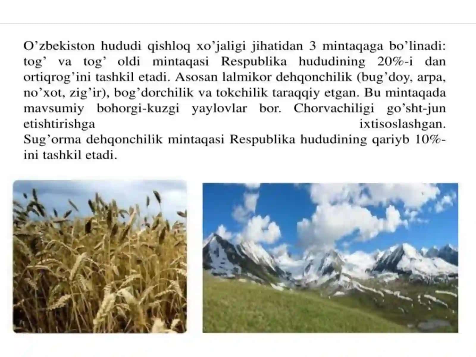 Qodirova Mohiraning Tarixfanidan Mustaqilishi 3