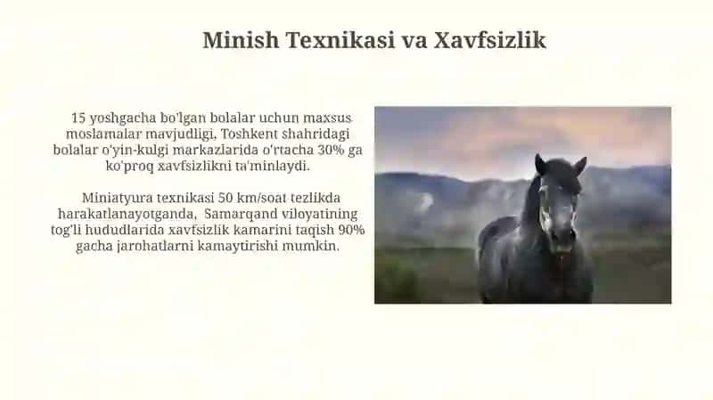 Minish Texnikasi va Xavfsizlik 3