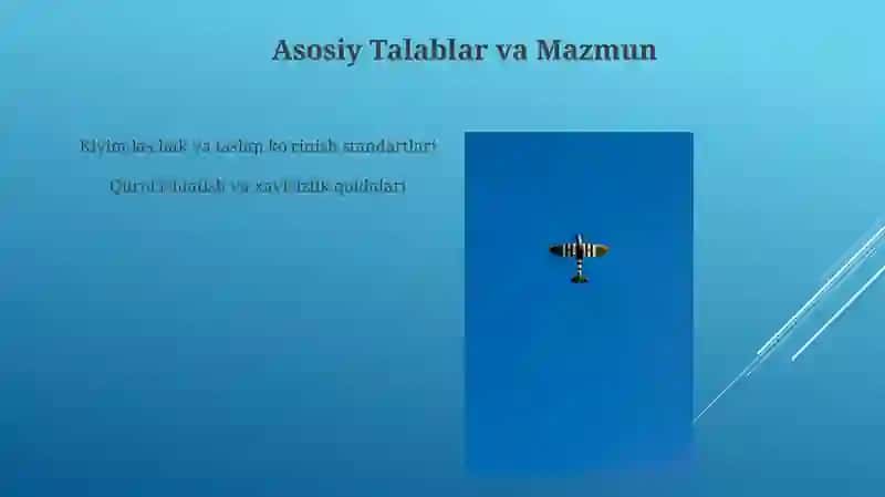 Harbiy Nizomlar, uning asosiy talablari va mazmuni 3