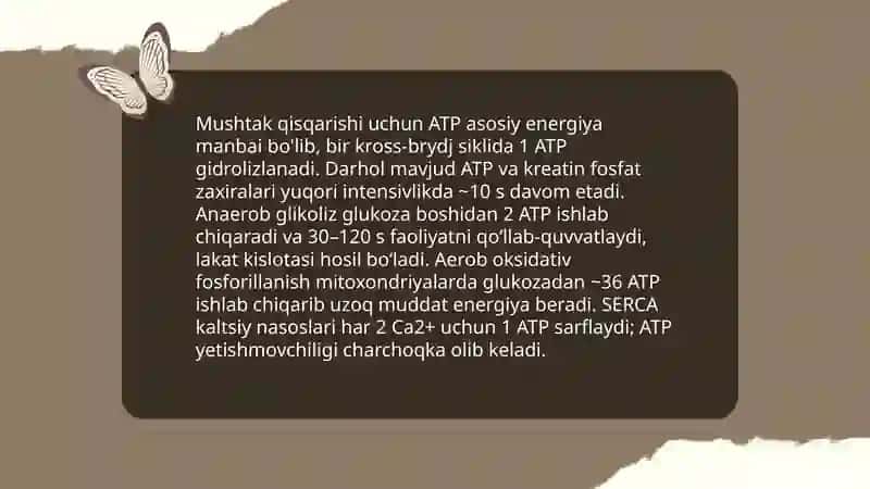 Harakatchan va qisqaruvchi jarayonlar 3