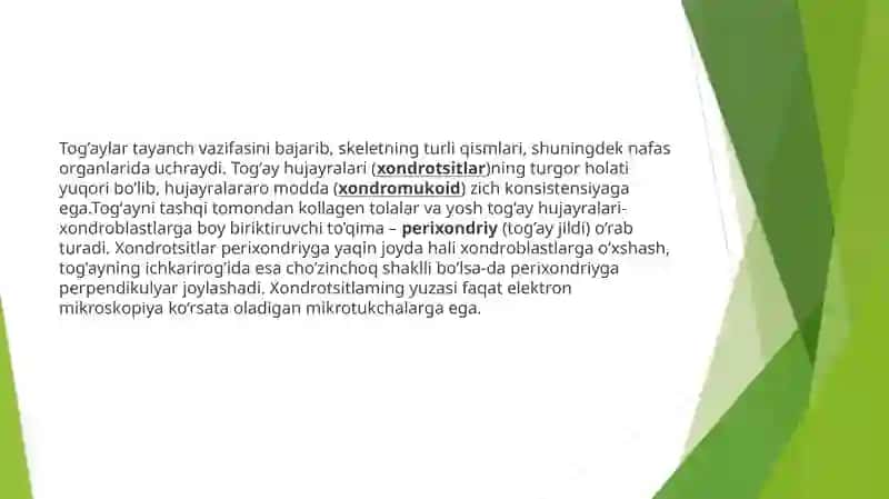 TogʻayToʻqimasiningRegeneratsiyasivaTransplantatsiyasi 3