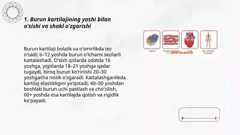 Inson tanasining yoshi bilan o'sishda davom etadigan qismlari 3