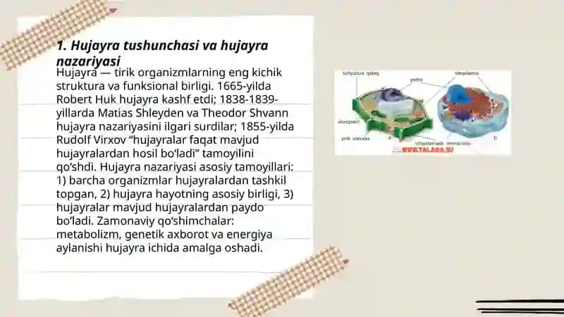 Hujayra haqidagi tushuncha,Hujayra biologiyasi va kimyoviy tarkibi. 3