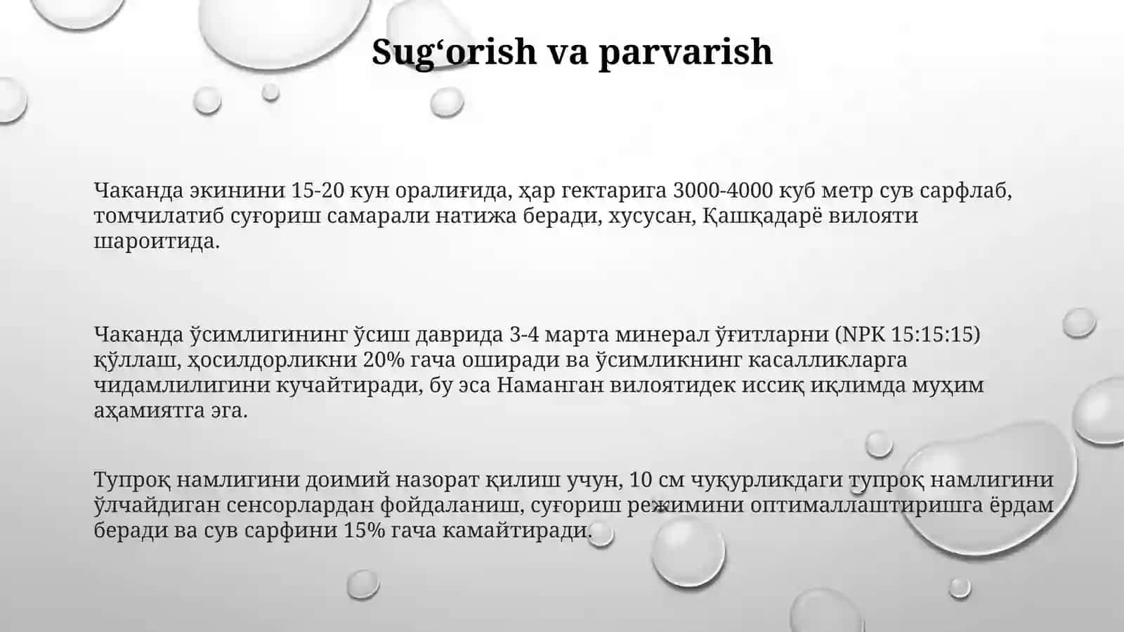 Chakandaoʻsimliginiyetishtirishtexnologiyasi 3
