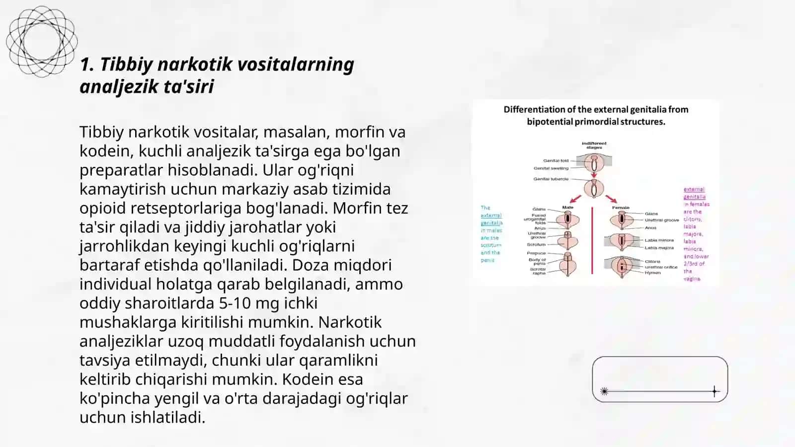Tibbiy va sintetik narkotik vositalar foydasi vaa zarari 3