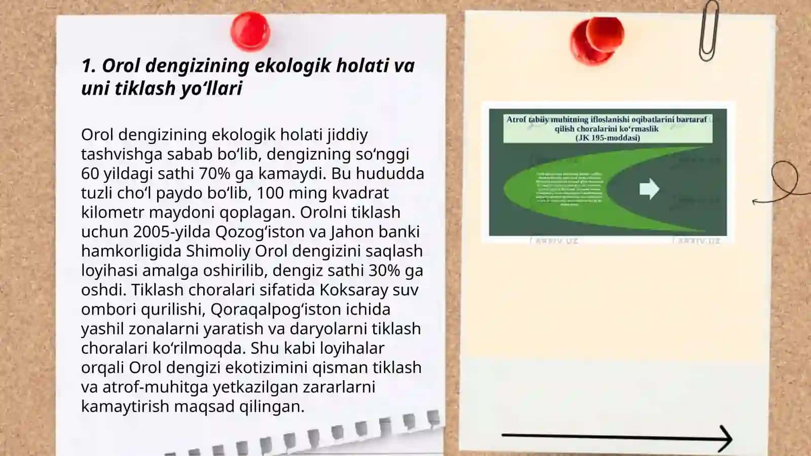 O‘rol dengizining ekologik holati va uni tiklash yo‘llari 3
