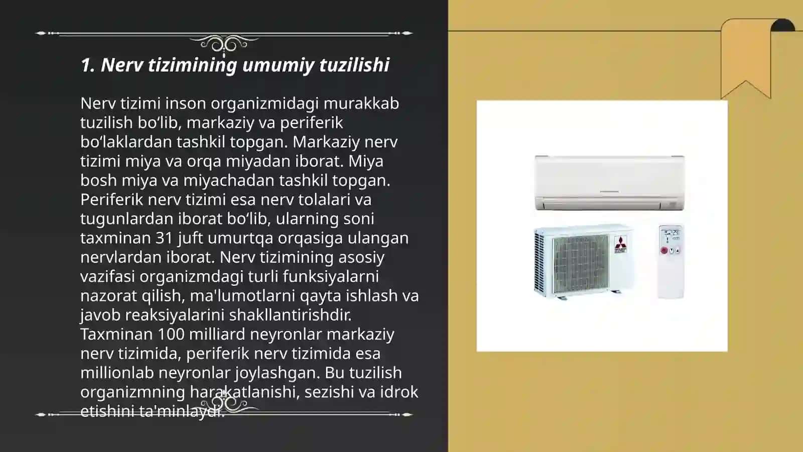 Nerv tòqimasi, glyal hujayralar va sinaps turlari 3