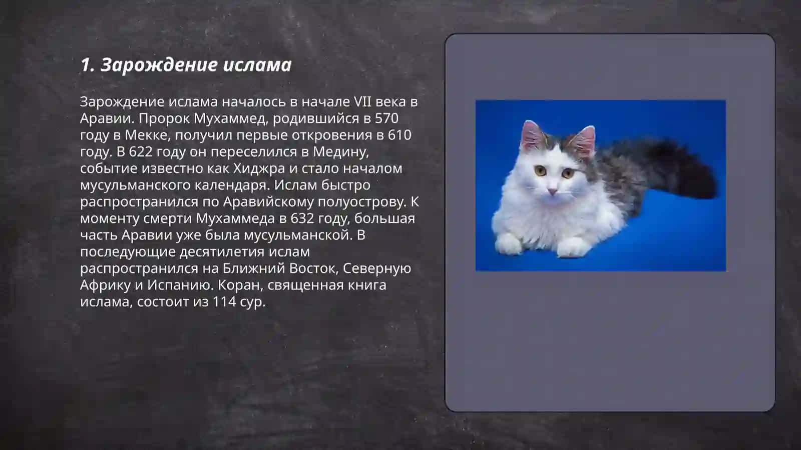 Краткая история ислама 3