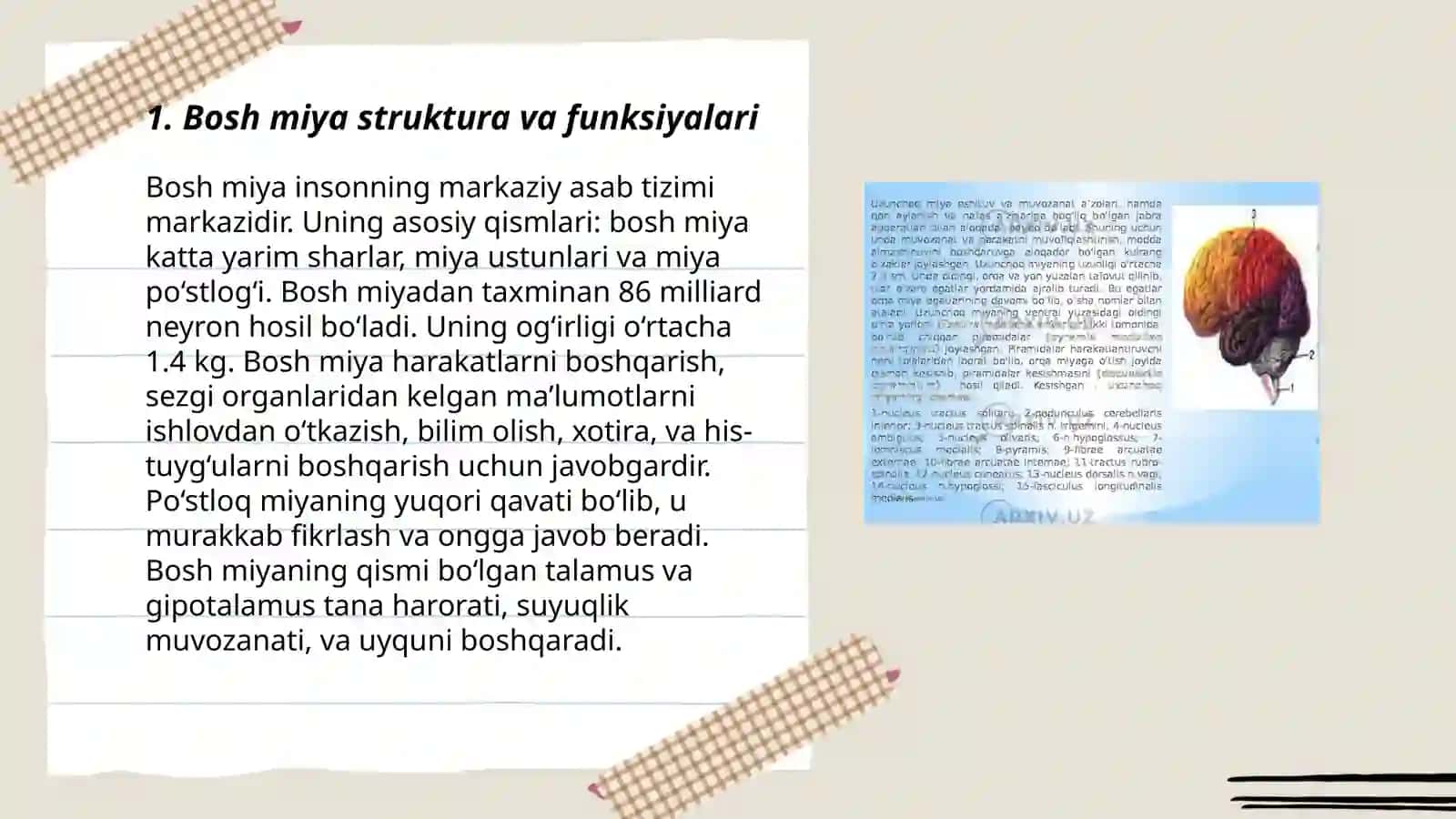 Bosh miya disfunksiyalari 3