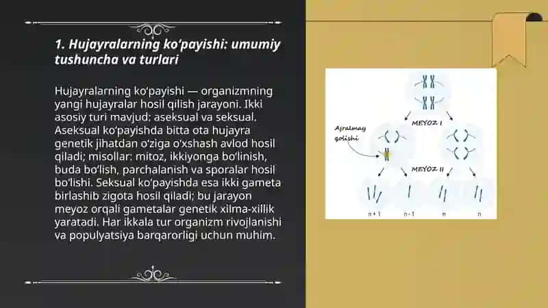 Hujayralarning koʻpayishi. MEYOZ.Uning biologik ahamiyati. 3