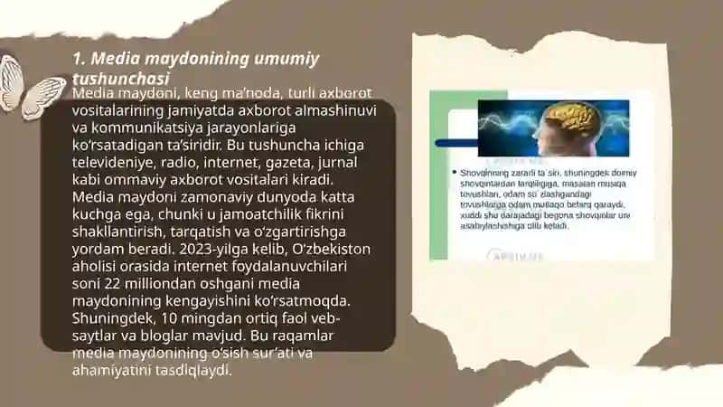 Media maydon tuzilishi va ta'siri 3