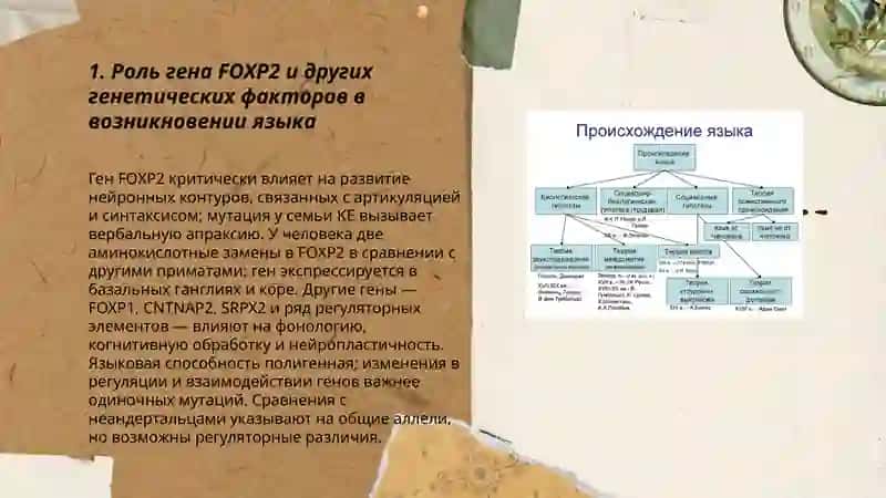 Биологические и социальные гипотезы происхождения языка 3