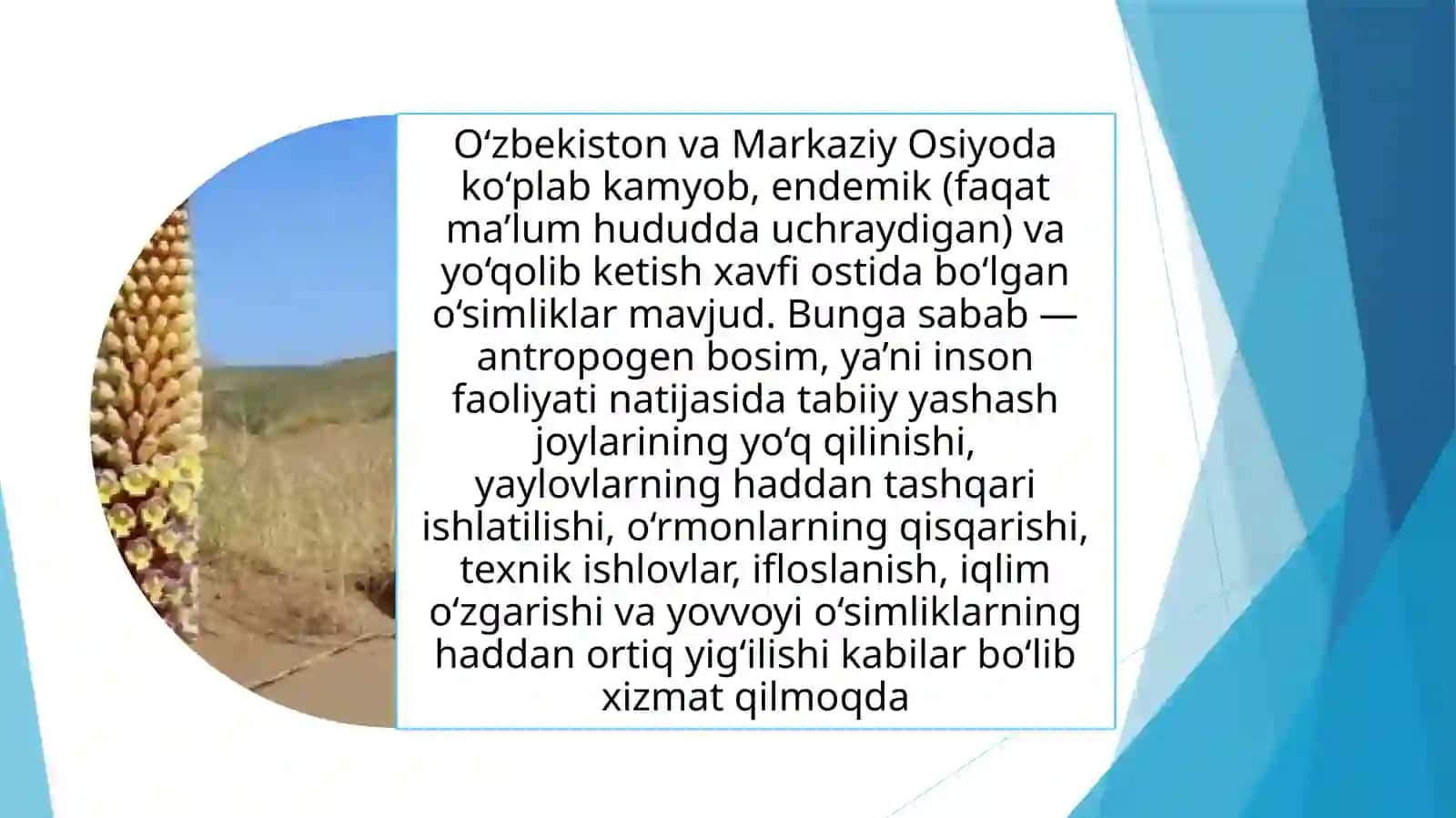 Kamyob va yoʻqolib ketish xavfi bor oʻsimliklarning introduksiyasi 3