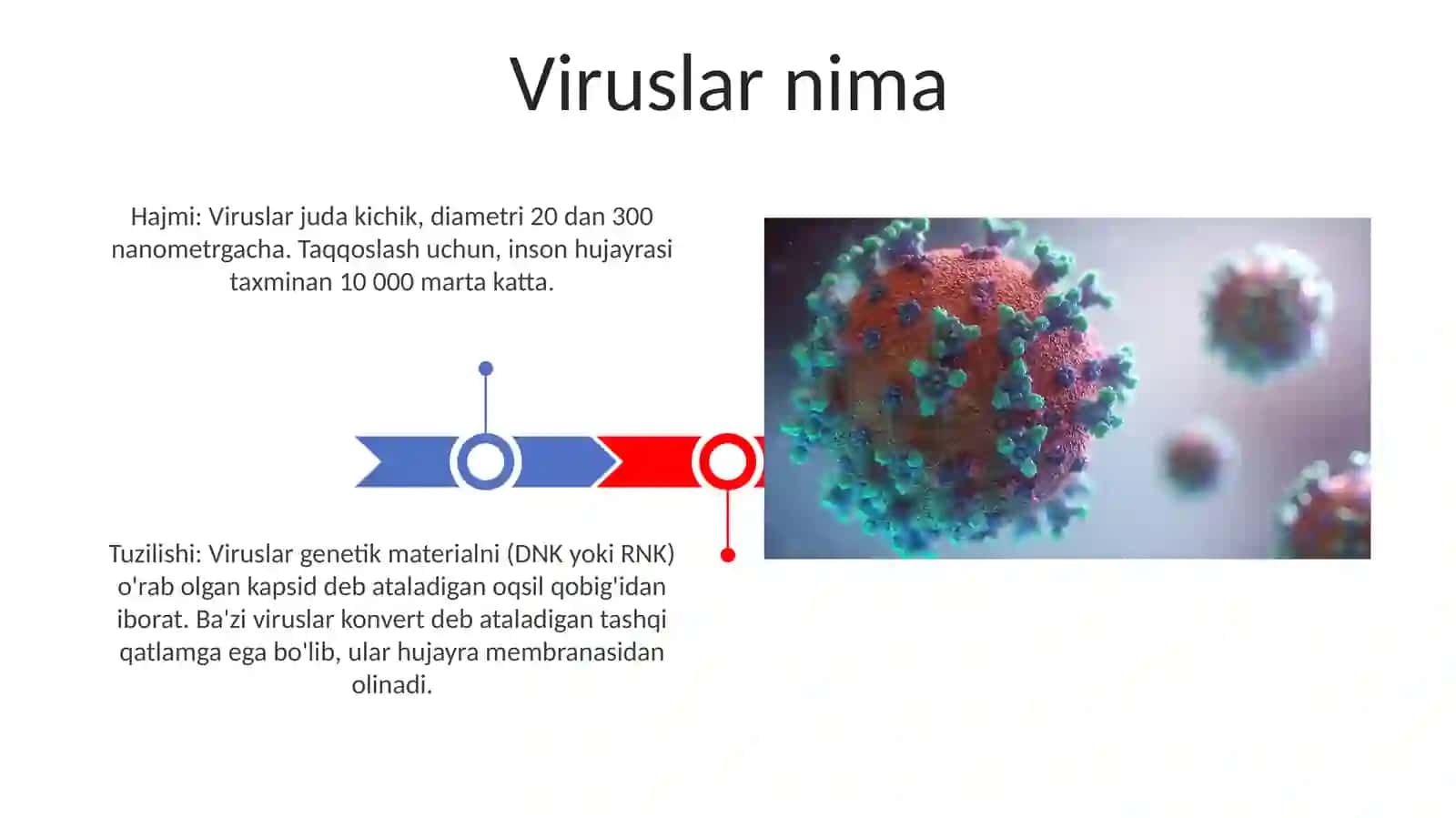 Viruslar 3