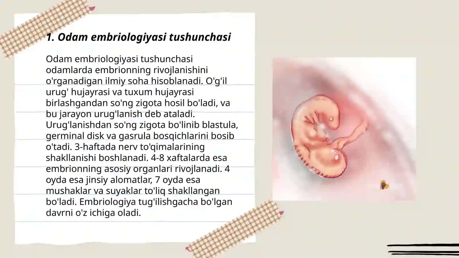 Odamlar Embriologiyasi Asoslari. Progenez. Embriogenez 3