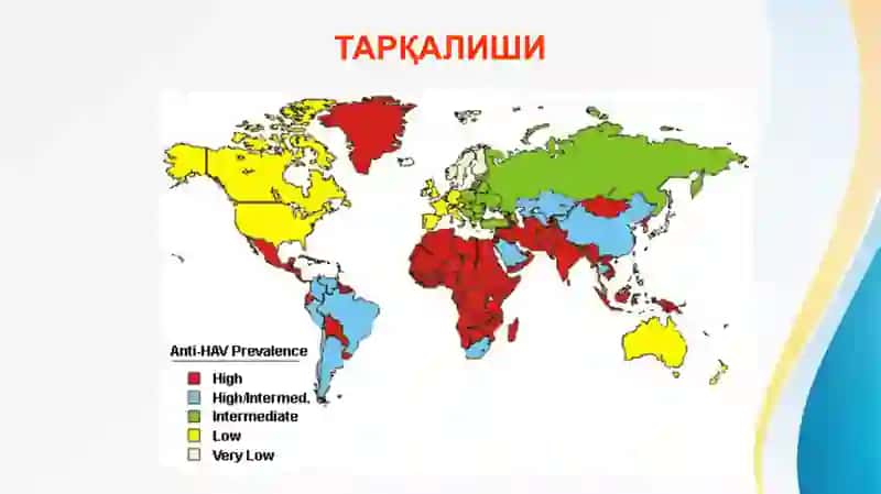 ВИРУСЛИ ГЕПАТИТЛАР  А ва Е турлари Virusli gepatitlar. A va E turlari 3