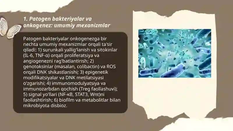 Onkologik kasalliklarda patagen bakteriyalar ta'siri 3