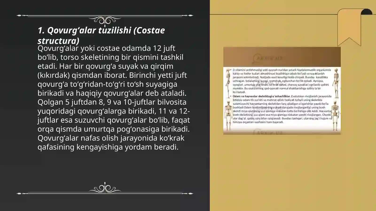 Qovurgʻalarning umurtqalar va toʻsh suyagi bilan birikishi (lotin tili bilan) 3