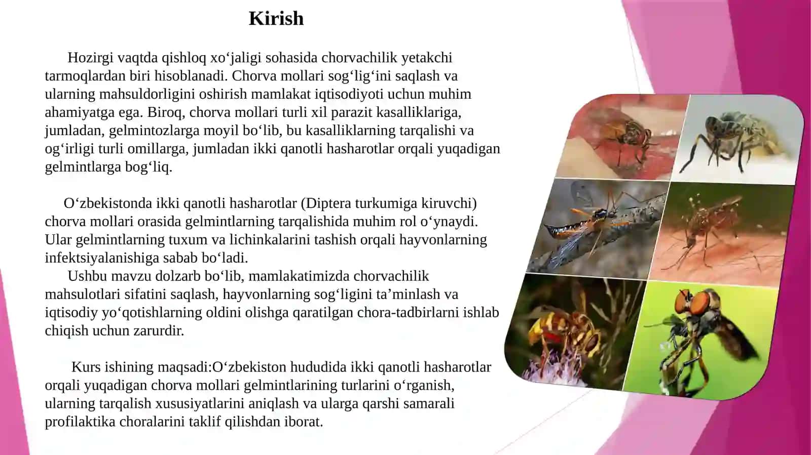 O'ZBEKISTONDA IKKI QANOTLI HASHAROTLAR ORQALI RIVOJLANADIGAN CHORVA MOLLARI GELMINTLARI 3