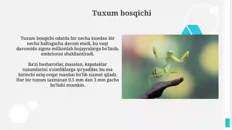 Toʻliq metamorfozning afzalliklari va kamchiliklari 3