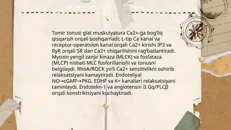Tomirlar tonusining boshqarilishi:Qon tomir tizimini faoliyatini tekshirishni yangi usullari 3