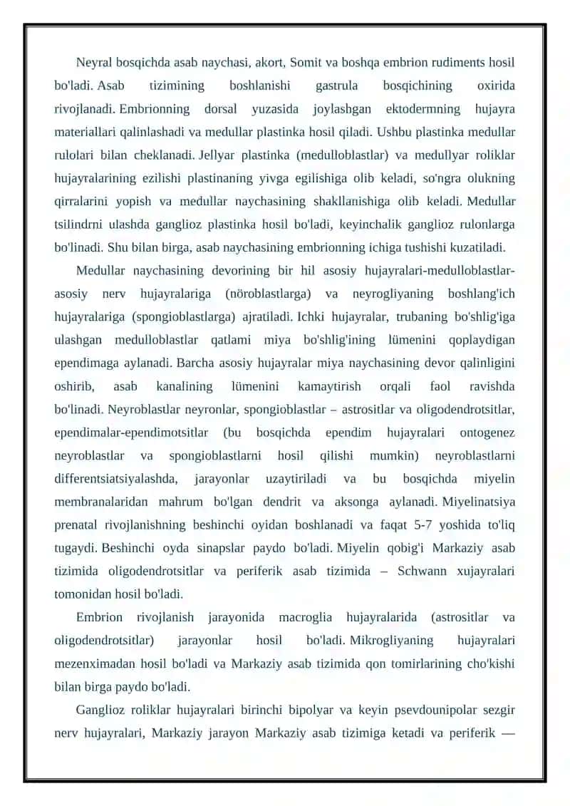 Asab tizimining ontogenezi 3