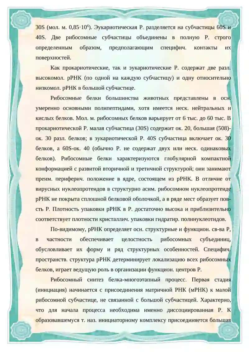 Механо-химические свойства рибосомы 3