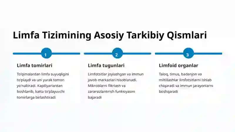 Limfa Tizimining Umumiy Qurilishi 3