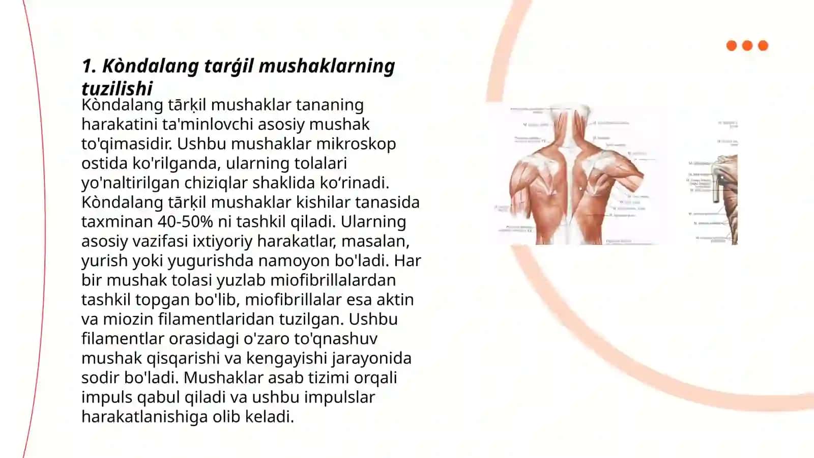 Kòndalang tarģil va silliq mushaklarning rivojlanishdagi asosiy farqlari 3