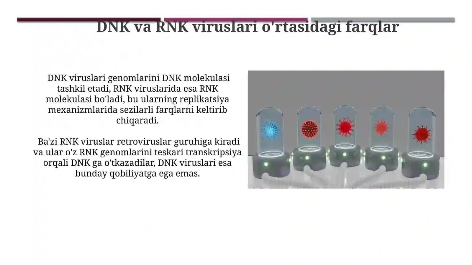 Viruslar klassifikatsiyasini rivojlantirish tarixi 3