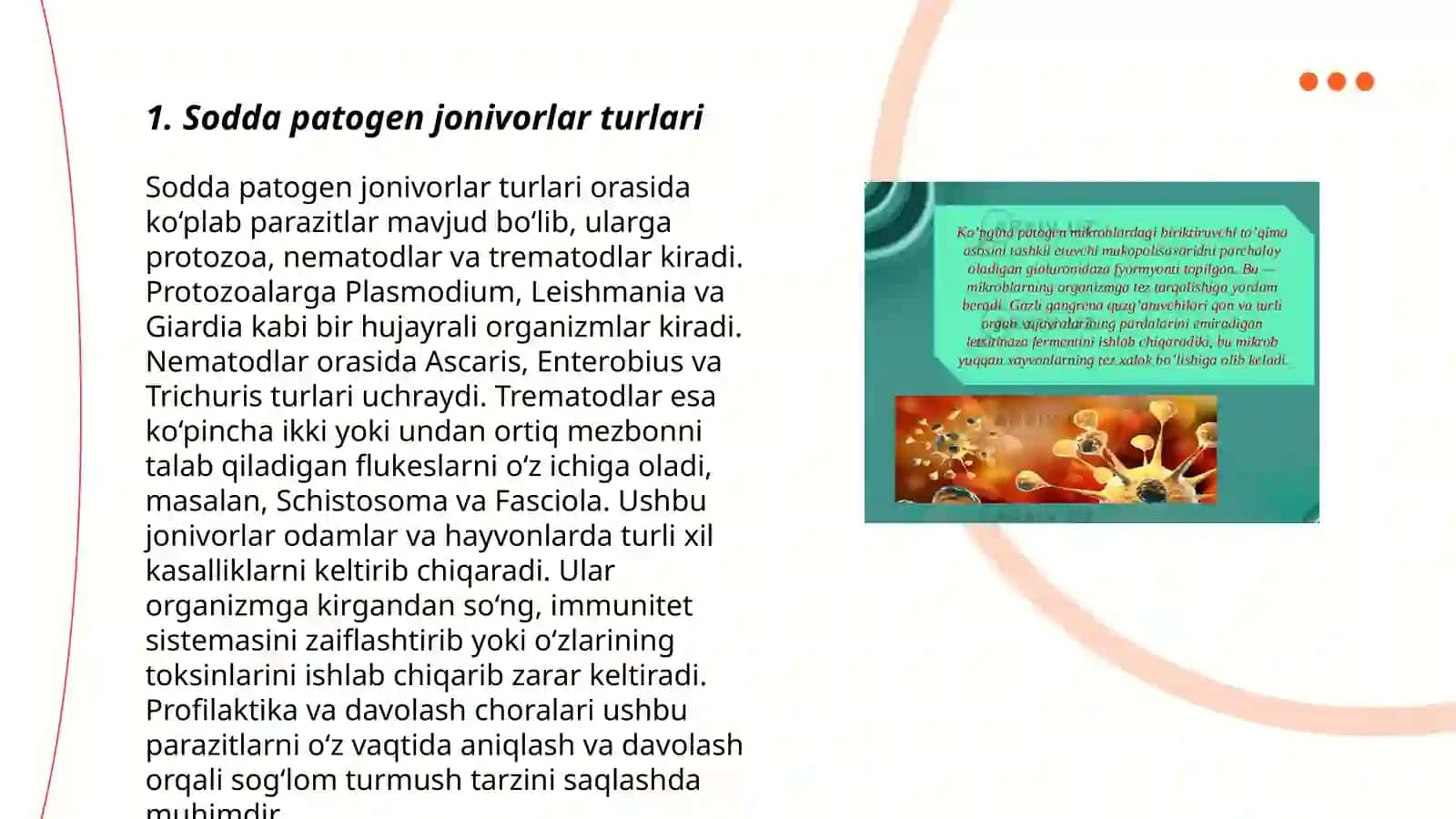 Sodda patogen jonivorlar.(Bezgak,leshmanioz qo'zg'atuvchilari).Zamburug'lar keltirib chiqaradigan infeksiya(dermatomikoz,kandidozlar) 3