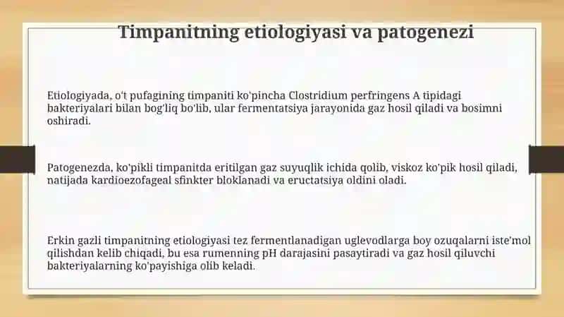 Qoramollarda Timponiya 3